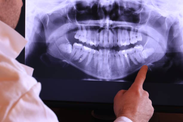 Best Emergency X-Rays and Diagnostics in Kemp Mill, MD